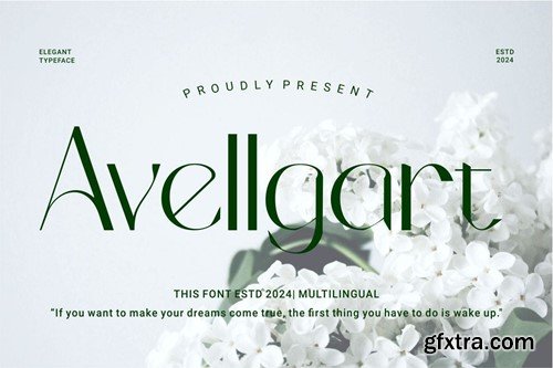 Avellgart - Elegant Typeface Font VECJ37U