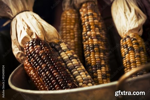 Dried Indian Corn 6xJPEG