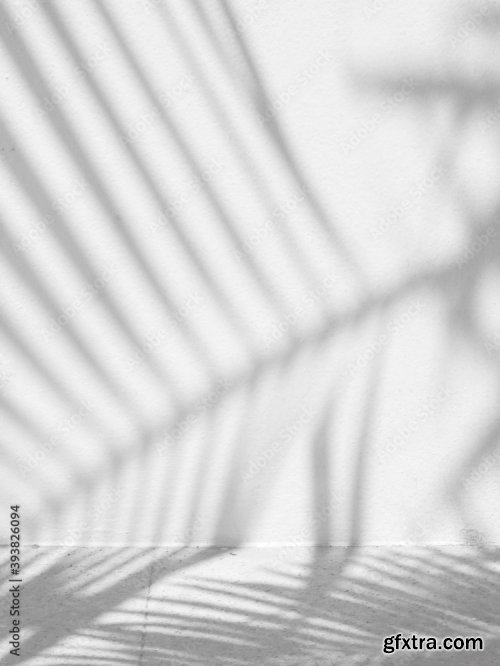 Shadow Of Palm Leaves On White Wall Background 6xJPEG