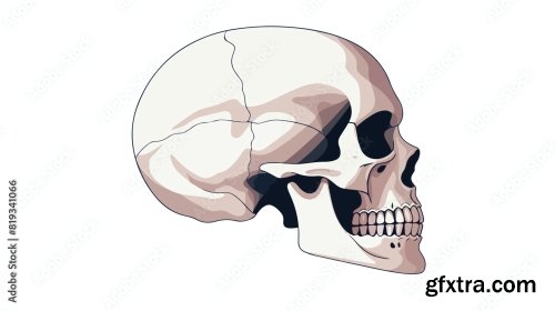 White Skeleton And Bones 6xAI