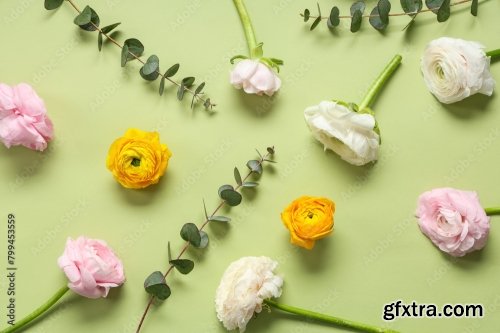 Beautiful Ranunculus Flowers And Eucalyptus 6xJPEG