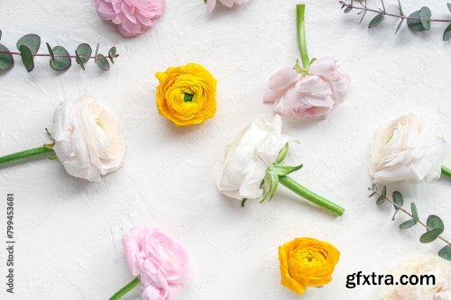 Beautiful Ranunculus Flowers And Eucalyptus 6xJPEG