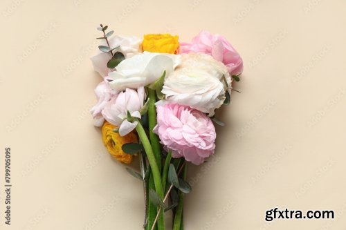 Beautiful Ranunculus Flowers And Eucalyptus 6xJPEG