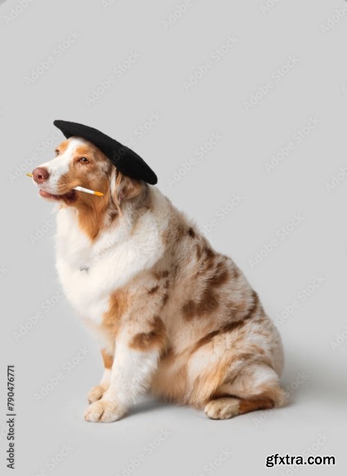 Cute Dog In Beret And With Paint Brush 6xJPEG