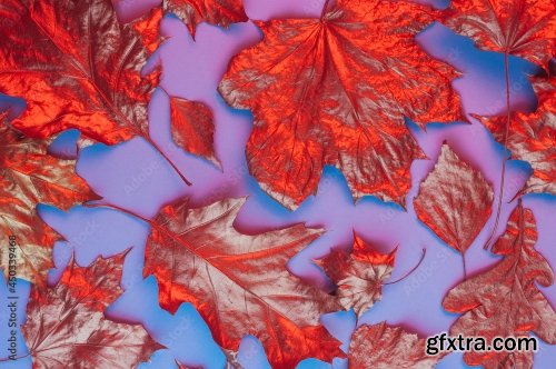 Pattern Of Dry Orange Metallic Leaves On Violet Background 6xJPEG
