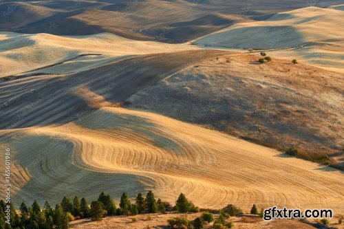 Farmland In Autumn Season 6xJPEG