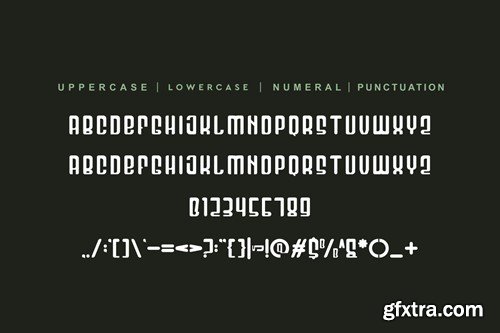 Roedak Ceoroj - Modern & Tall Font LLPZ3TL