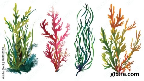 Four Of Colorful Hand Drawn Edible Algae Vector Graph 6xAI