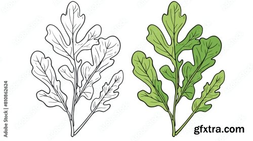 Four Of Colorful Hand Drawn Edible Algae Vector Graph 6xAI