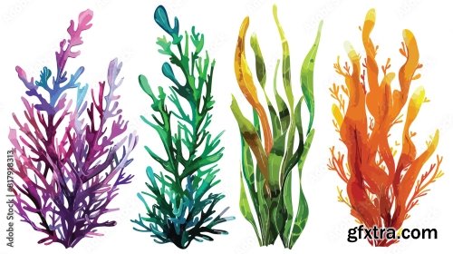 Four Of Colorful Hand Drawn Edible Algae Vector Graph 6xAI