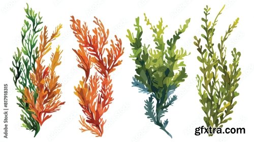 Four Of Colorful Hand Drawn Edible Algae Vector Graph 6xAI