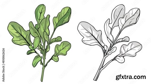 Four Of Colorful Hand Drawn Edible Algae Vector Graph 6xAI