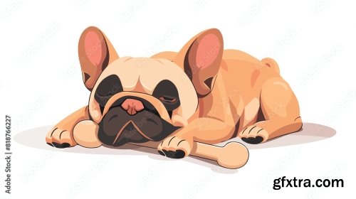 Adorable French Bulldog 6xJPEG