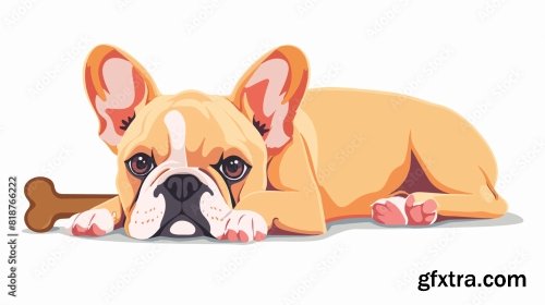 Adorable French Bulldog 6xJPEG