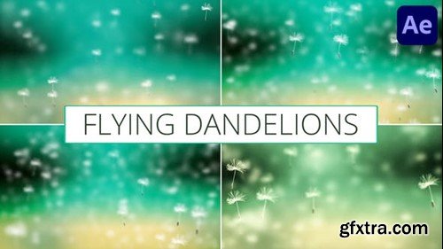 Videohive Flying Dandelions for After Effects 52411210