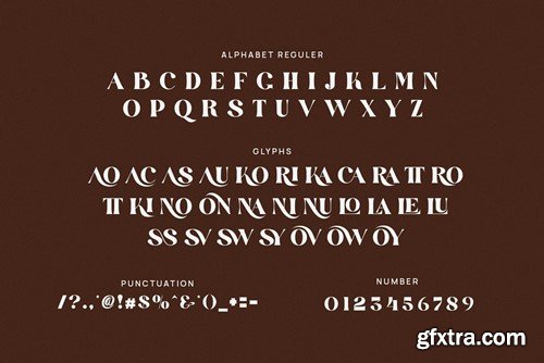 Rossiro Elegant Serif Font Typeface N423PS2