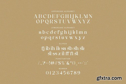 Rilashi - Elegant Serif Font FQ357WY