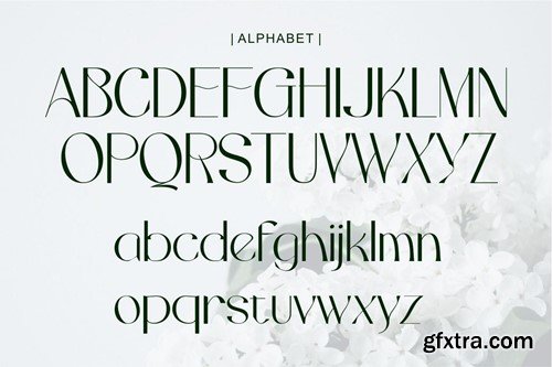 Avellgart - Elegant Typeface Font VECJ37U