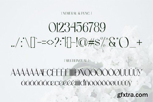 Avellgart - Elegant Typeface Font VECJ37U