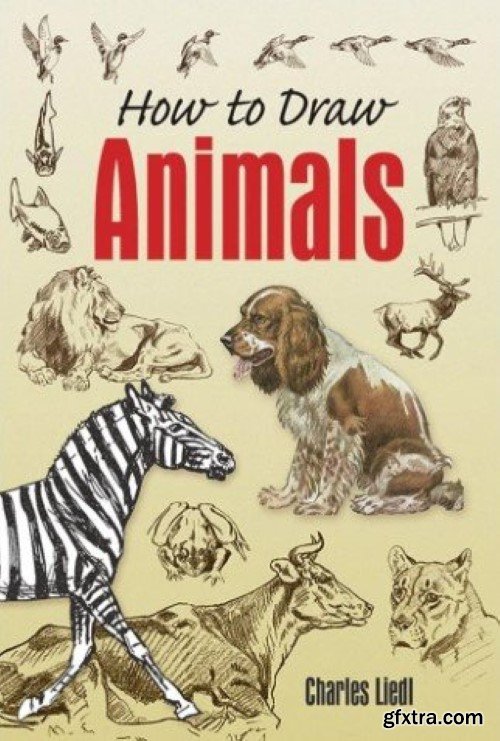 How to Draw Animals (Dover Art Instruction)