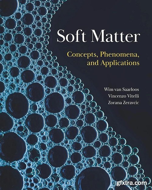 Soft Matter: Concepts, Phenomena, and Applications