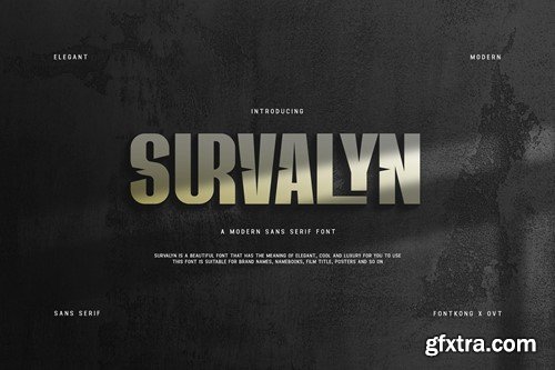 Survalyn - Modern Sans Serif Font AV5CEZ7