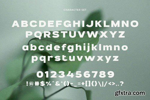 Ghiremi - Modern Bold Sans Serif 738DYLT