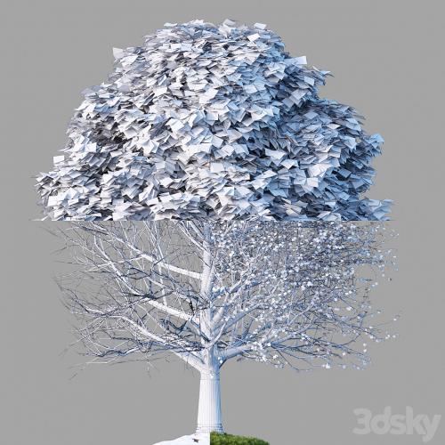 Oak_001_4_Seasons