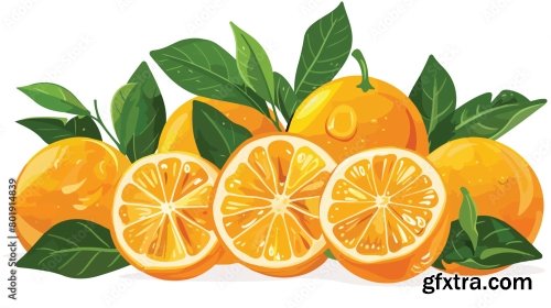 Fresh Juicy Oranges 6xAI