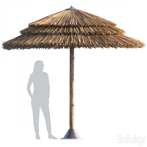 Beach umbrella