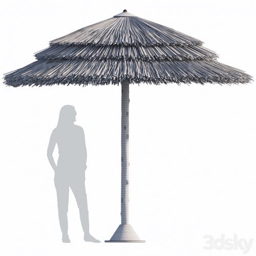 Beach umbrella