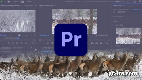 Learn Premiere Pro: Video Editing for Absolute Beginners