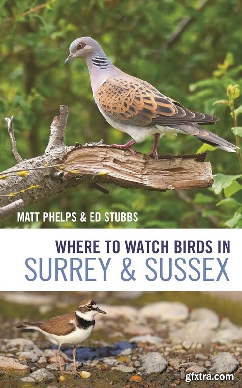 Where to Watch Birds in Surrey and Sussex