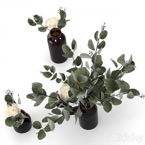 Eucalyptus bouquets