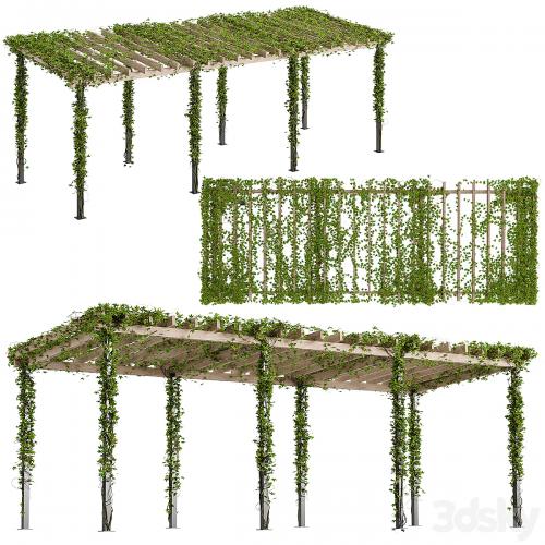 Pergola with Ivy v10