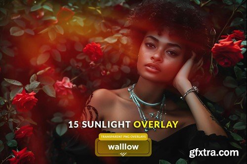 Natural subtle sunlight transparent photo overlays CZVWB4C