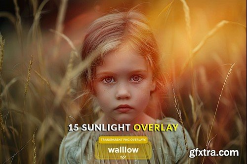 Natural subtle sunlight transparent photo overlays CZVWB4C