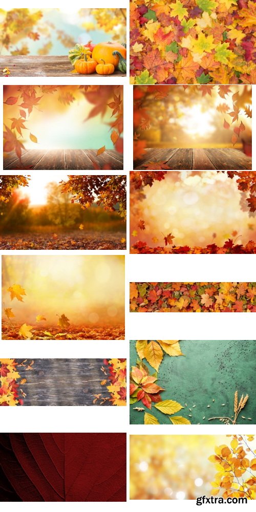 Amazing Photos, Fall Background 100xJPEG