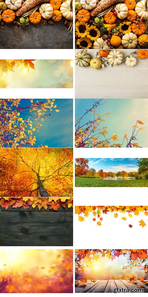 Amazing Photos, Fall Background 100xJPEG