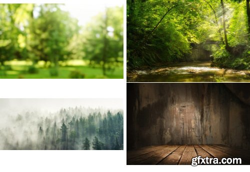 Amazing Photos, Forest Background 100xJPEG