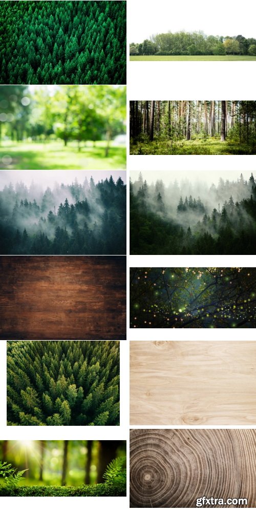 Amazing Photos, Forest Background 100xJPEG
