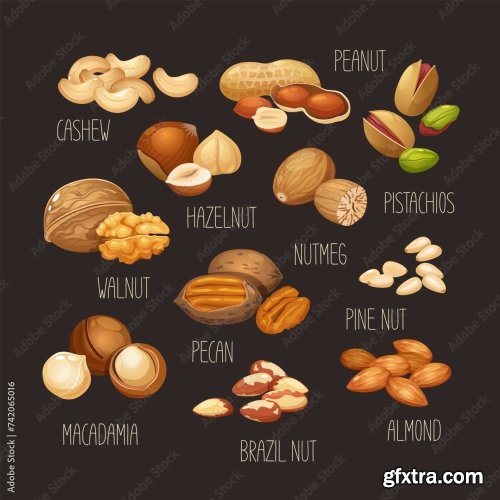 Vector Seamless Pattern With Nuts Collection 6xAI