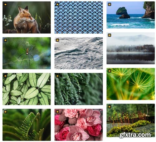 Premium Photo Collections - Wallpaper - 127xJPG