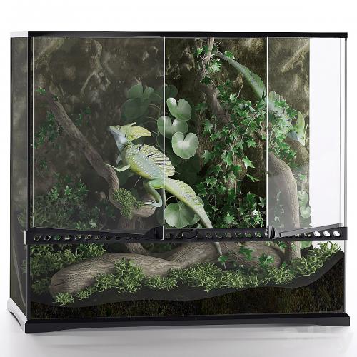 Terrarium, Basilisk