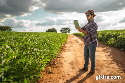 Latin American Farmer Working On Soybean Plantation 6xJPEG