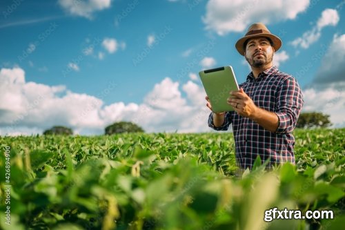 Latin American Farmer Working On Soybean Plantation 6xJPEG