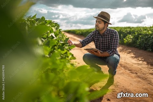 Latin American Farmer Working On Soybean Plantation 6xJPEG