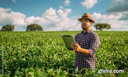 Latin American Farmer Working On Soybean Plantation 6xJPEG