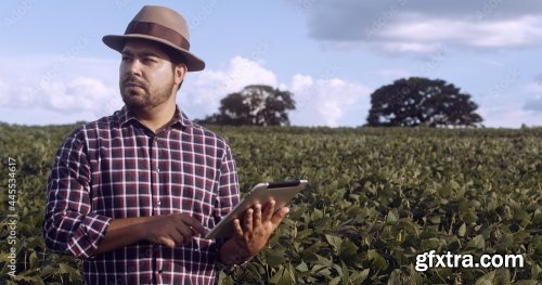 Latin American Farmer Working On Soybean Plantation 6xJPEG