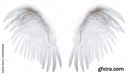 White Angel Wing Bird White Background Archangel 6xJPEG